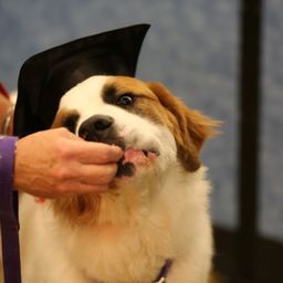 photograph by PeterW